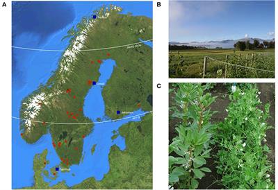 Trait Expression and Environmental Responses of Pea (Pisum sativum L.) Genetic Resources Targeting Cultivation in the Arctic